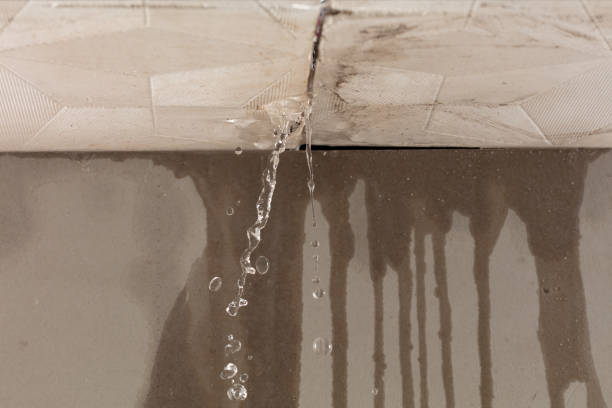 Professional Water Extraction technician working in Brookings, OR